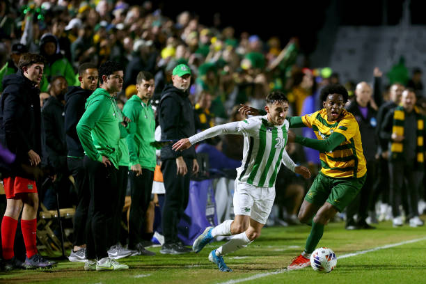 是什么导致 是什么导致